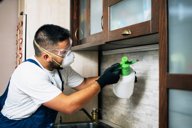 Pest Control for Restaurants in St Leon, IN