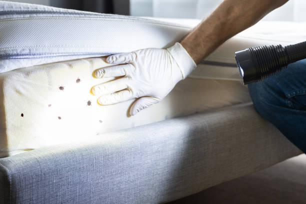 Best Pest Inspection Near Me  in St Leon, IN