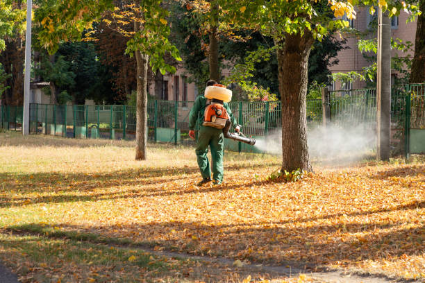 Bird Control in St Leon, IN