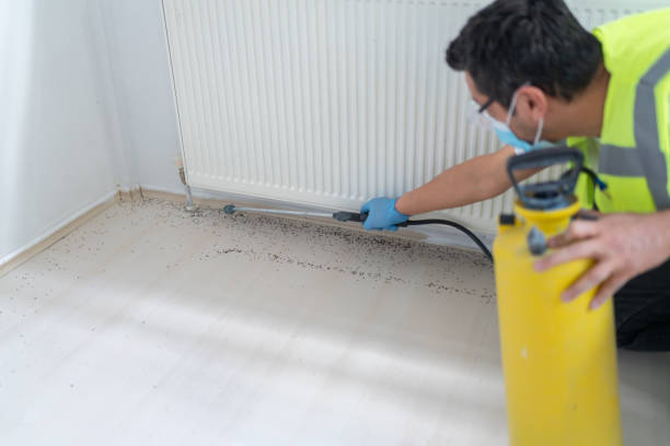 Best Pest Control Near Me  in St Leon, IN